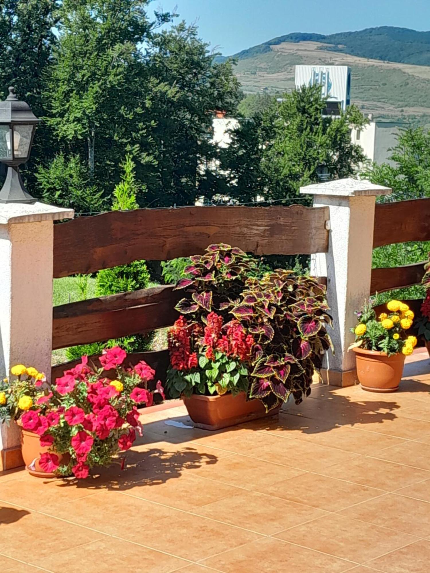 Casa Eldorado Hotell Sovata Exteriör bild